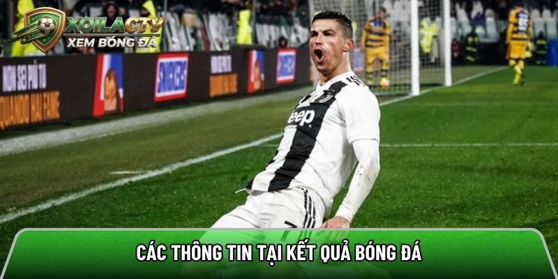 Các thông tin tại kết quả bóng đá